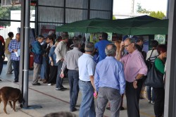 Eco Sant Cugat_2012 (5)