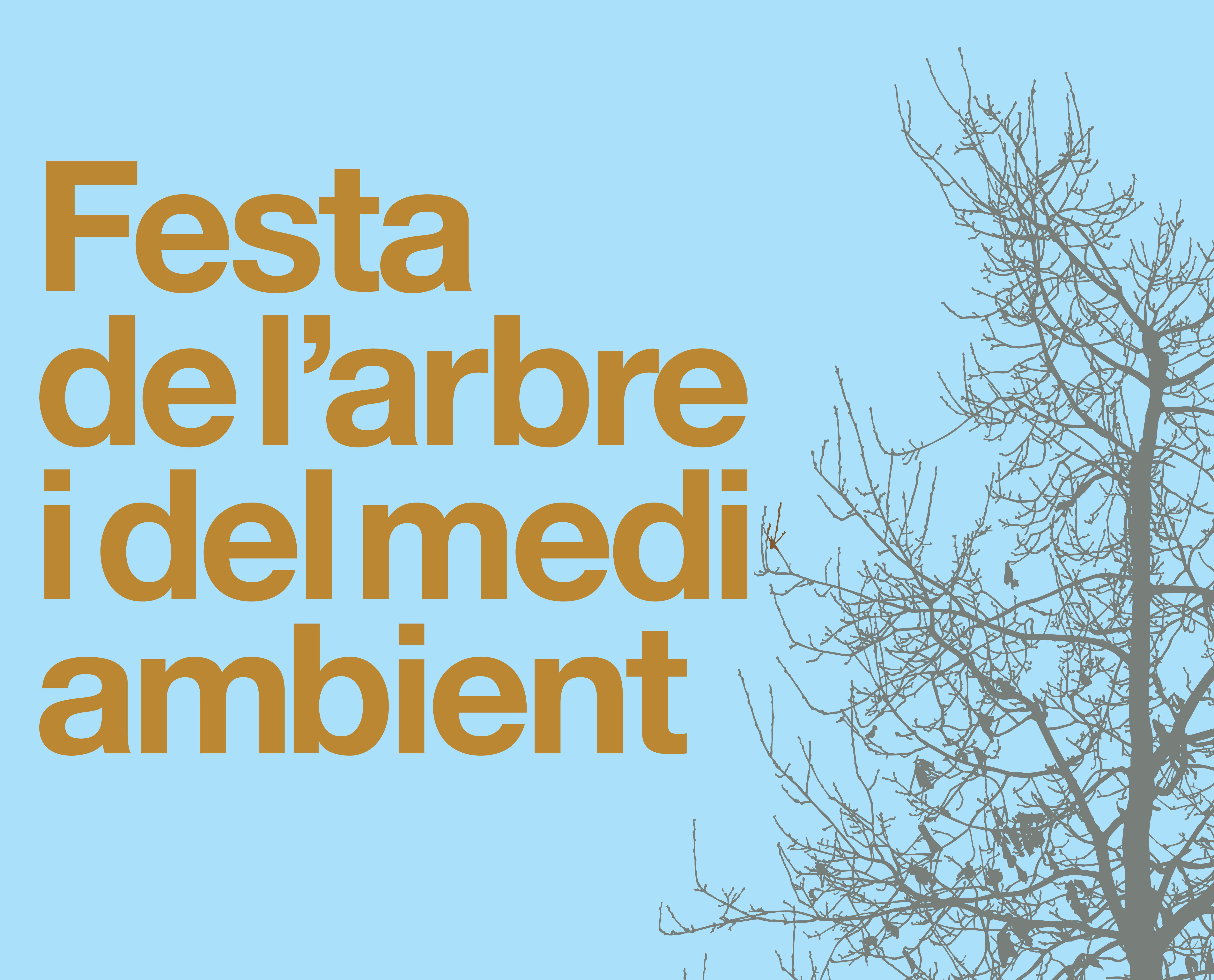 F.Arbre2